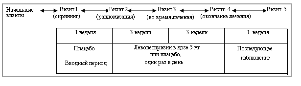 Схематичное представление исследования
